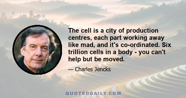 The cell is a city of production centres, each part working away like mad, and it's co-ordinated. Six trillion cells in a body - you can't help but be moved.