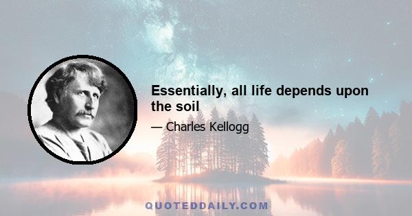 Essentially, all life depends upon the soil