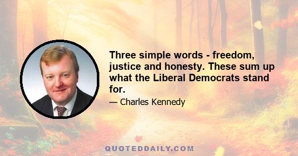 Three simple words - freedom, justice and honesty. These sum up what the Liberal Democrats stand for.