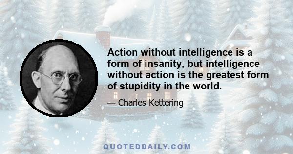 Action without intelligence is a form of insanity, but intelligence without action is the greatest form of stupidity in the world.