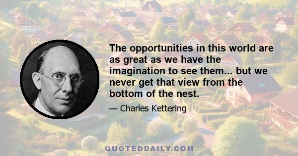 The opportunities in this world are as great as we have the imagination to see them... but we never get that view from the bottom of the nest.