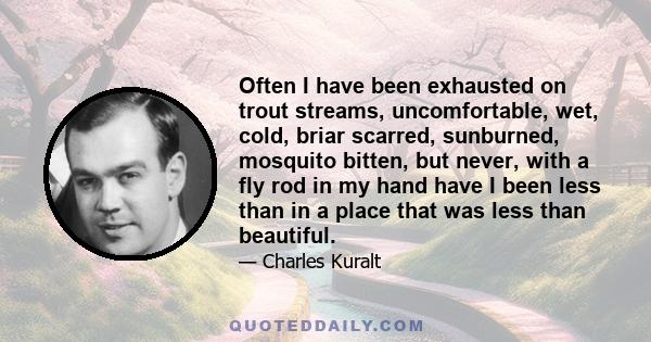 Often I have been exhausted on trout streams, uncomfortable, wet, cold, briar scarred, sunburned, mosquito bitten, but never, with a fly rod in my hand have I been less than in a place that was less than beautiful.