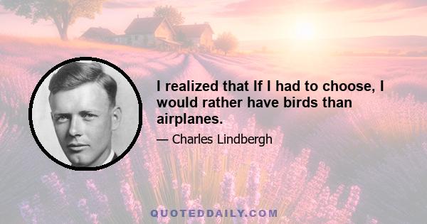 I realized that If I had to choose, I would rather have birds than airplanes.