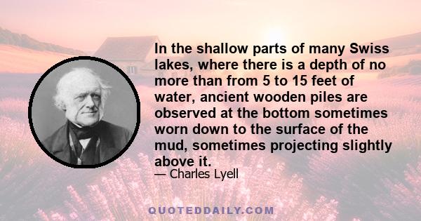 In the shallow parts of many Swiss lakes, where there is a depth of no more than from 5 to 15 feet of water, ancient wooden piles are observed at the bottom sometimes worn down to the surface of the mud, sometimes