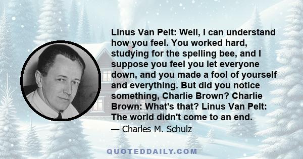 Linus Van Pelt: Well, I can understand how you feel. You worked hard, studying for the spelling bee, and I suppose you feel you let everyone down, and you made a fool of yourself and everything. But did you notice