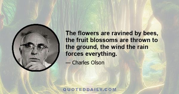 The flowers are ravined by bees, the fruit blossoms are thrown to the ground, the wind the rain forces everything.