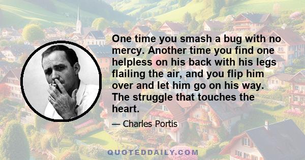 One time you smash a bug with no mercy. Another time you find one helpless on his back with his legs flailing the air, and you flip him over and let him go on his way. The struggle that touches the heart.