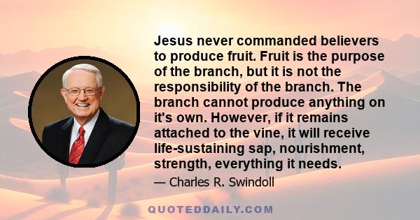 Jesus never commanded believers to produce fruit. Fruit is the purpose of the branch, but it is not the responsibility of the branch. The branch cannot produce anything on it's own. However, if it remains attached to