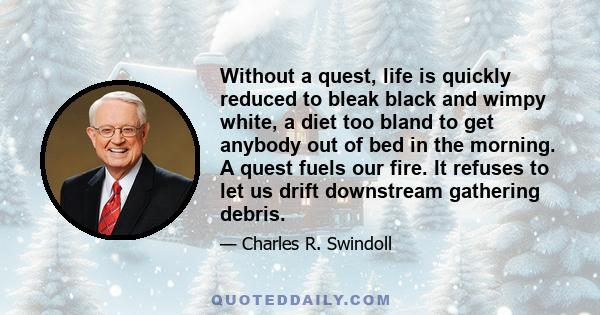 Without a quest, life is quickly reduced to bleak black and wimpy white, a diet too bland to get anybody out of bed in the morning. A quest fuels our fire. It refuses to let us drift downstream gathering debris.