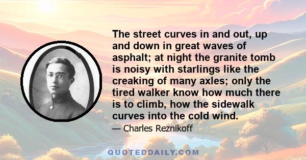 The street curves in and out, up and down in great waves of asphalt; at night the granite tomb is noisy with starlings like the creaking of many axles; only the tired walker know how much there is to climb, how the