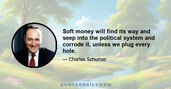 Soft money will find its way and seep into the political system and corrode it, unless we plug every hole.