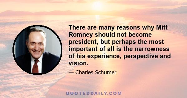 There are many reasons why Mitt Romney should not become president, but perhaps the most important of all is the narrowness of his experience, perspective and vision.