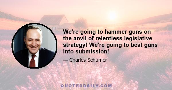 We're going to hammer guns on the anvil of relentless legislative strategy! We're going to beat guns into submission!