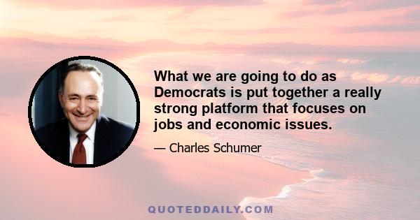 What we are going to do as Democrats is put together a really strong platform that focuses on jobs and economic issues.