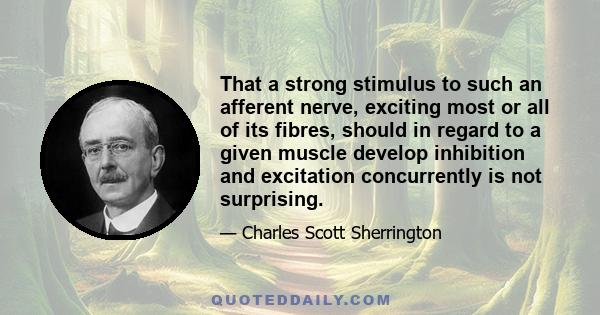 That a strong stimulus to such an afferent nerve, exciting most or all of its fibres, should in regard to a given muscle develop inhibition and excitation concurrently is not surprising.