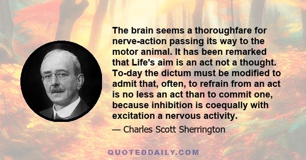 The brain seems a thoroughfare for nerve-action passing its way to the motor animal. It has been remarked that Life's aim is an act not a thought. To-day the dictum must be modified to admit that, often, to refrain from 