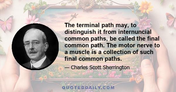 The terminal path may, to distinguish it from internuncial common paths, be called the final common path. The motor nerve to a muscle is a collection of such final common paths.