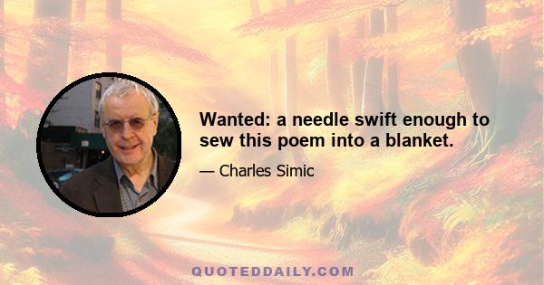 Wanted: a needle swift enough to sew this poem into a blanket.