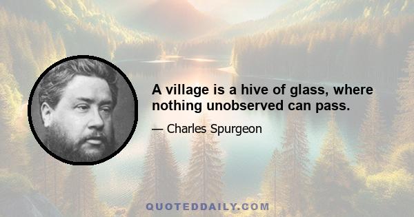 A village is a hive of glass, where nothing unobserved can pass.