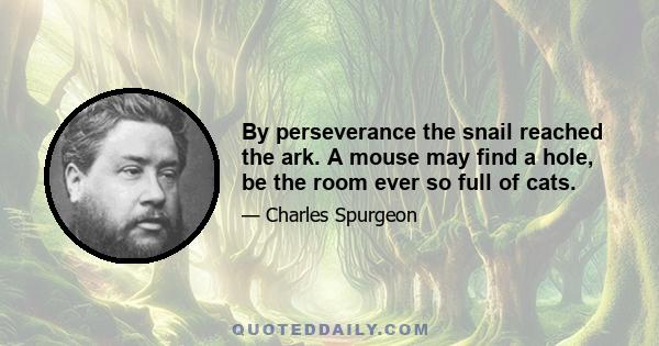 By perseverance the snail reached the ark. A mouse may find a hole, be the room ever so full of cats.