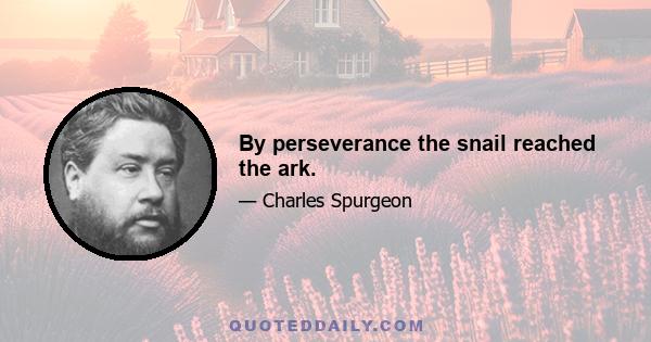 By perseverance the snail reached the ark.