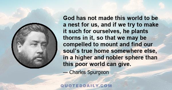 God has not made this world to be a nest for us, and if we try to make it such for ourselves, he plants thorns in it, so that we may be compelled to mount and find our soul’s true home somewhere else, in a higher and