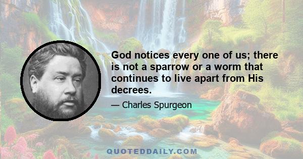 God notices every one of us; there is not a sparrow or a worm that continues to live apart from His decrees.