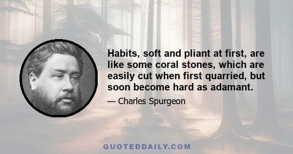 Habits, soft and pliant at first, are like some coral stones, which are easily cut when first quarried, but soon become hard as adamant.