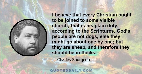 I believe that every Christian ought to be joined to some visible church; that is his plain duty, according to the Scriptures. God’s people are not dogs, else they might go about one by one; but they are sheep, and