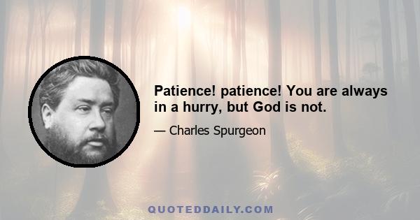 Patience! patience! You are always in a hurry, but God is not.