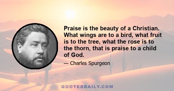 Praise is the beauty of a Christian. What wings are to a bird, what fruit is to the tree, what the rose is to the thorn, that is praise to a child of God.