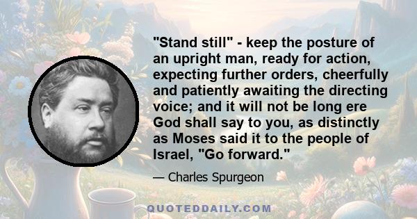 Stand still - keep the posture of an upright man, ready for action, expecting further orders, cheerfully and patiently awaiting the directing voice; and it will not be long ere God shall say to you, as distinctly as