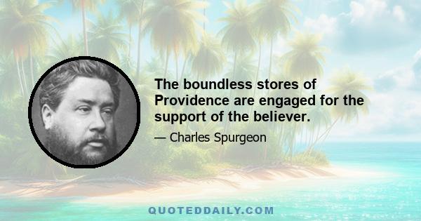 The boundless stores of Providence are engaged for the support of the believer.