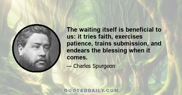 The waiting itself is beneficial to us: it tries faith, exercises patience, trains submission, and endears the blessing when it comes.