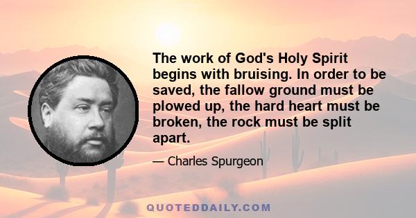 The work of God's Holy Spirit begins with bruising. In order to be saved, the fallow ground must be plowed up, the hard heart must be broken, the rock must be split apart.