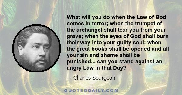 What will you do when the Law of God comes in terror; when the trumpet of the archangel shall tear you from your grave; when the eyes of God shall burn their way into your guilty soul; when the great books shall be