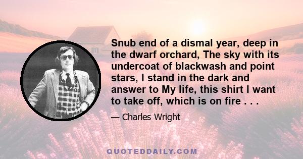 Snub end of a dismal year, deep in the dwarf orchard, The sky with its undercoat of blackwash and point stars, I stand in the dark and answer to My life, this shirt I want to take off, which is on fire . . .