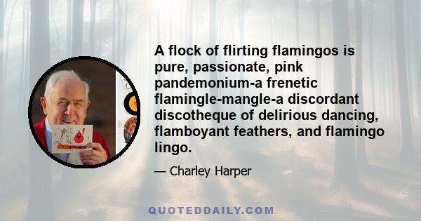 A flock of flirting flamingos is pure, passionate, pink pandemonium-a frenetic flamingle-mangle-a discordant discotheque of delirious dancing, flamboyant feathers, and flamingo lingo.