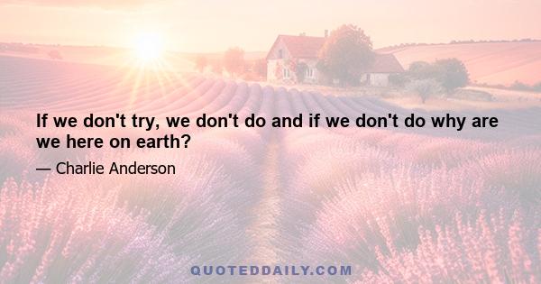 If we don't try, we don't do and if we don't do why are we here on earth?