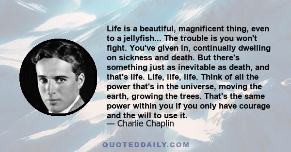 Life is a beautiful, magnificent thing, even to a jellyfish... The trouble is you won't fight. You've given in, continually dwelling on sickness and death. But there's something just as inevitable as death, and that's