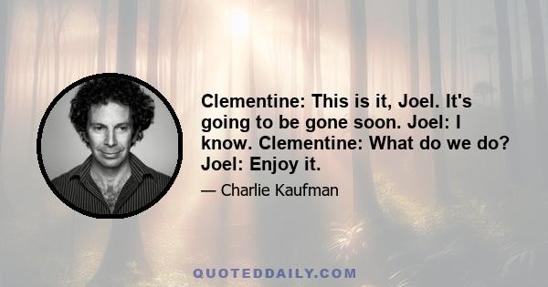 Clementine: This is it, Joel. It's going to be gone soon. Joel: I know. Clementine: What do we do? Joel: Enjoy it.