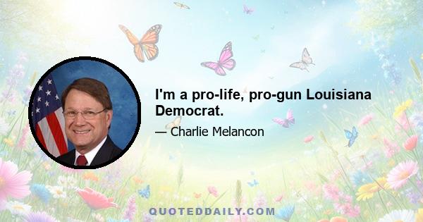 I'm a pro-life, pro-gun Louisiana Democrat.