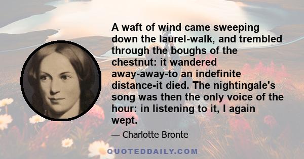 A waft of wind came sweeping down the laurel-walk, and trembled through the boughs of the chestnut: it wandered away-away-to an indefinite distance-it died. The nightingale's song was then the only voice of the hour: in 