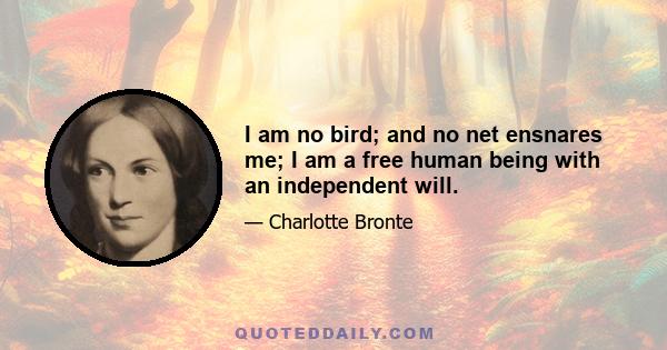 I am no bird; and no net ensnares me; I am a free human being with an independent will.