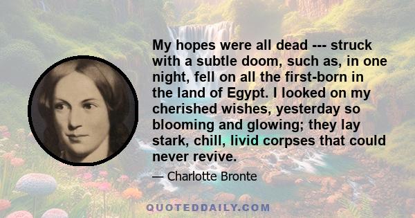 My hopes were all dead --- struck with a subtle doom, such as, in one night, fell on all the first-born in the land of Egypt. I looked on my cherished wishes, yesterday so blooming and glowing; they lay stark, chill,