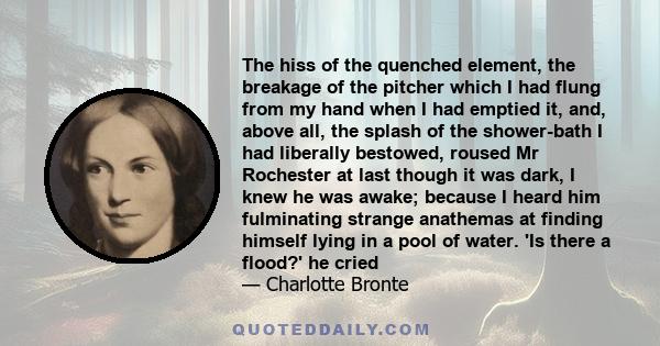 The hiss of the quenched element, the breakage of the pitcher which I had flung from my hand when I had emptied it, and, above all, the splash of the shower-bath I had liberally bestowed, roused Mr Rochester at last