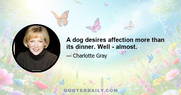 A dog desires affection more than its dinner. Well - almost.