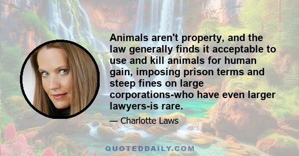 Animals aren't property, and the law generally finds it acceptable to use and kill animals for human gain, imposing prison terms and steep fines on large corporations-who have even larger lawyers-is rare.