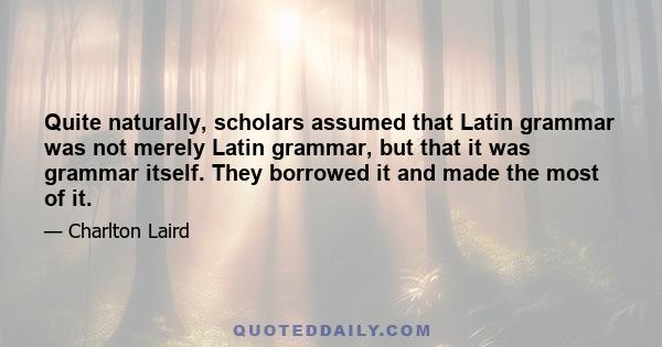 Quite naturally, scholars assumed that Latin grammar was not merely Latin grammar, but that it was grammar itself. They borrowed it and made the most of it.