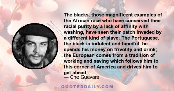 The blacks, those magnificent examples of the African race who have conserved their racial purity by a lack of affinity with washing, have seen their patch invaded by a different kind of slave: The Portuguese. the black 